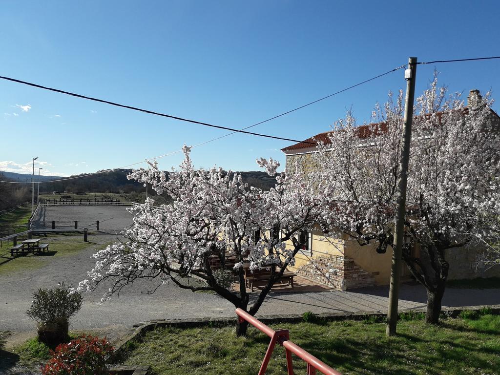 Kmetija Medljan Villa Izola Exterior photo